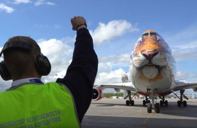 Russian commmercial Boeing lands at Cyprus with an endangered species message