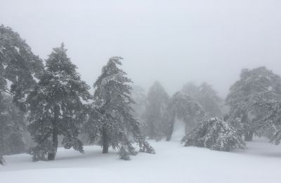 The beauty of Troodos (video)