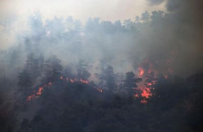 Justice Ministry looking into life sentence penalty for forest arsonists