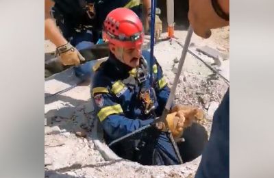 Firemen save kitten from deep well