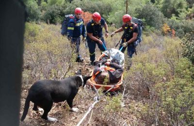 Rescuers moved by injured man's devoted dog