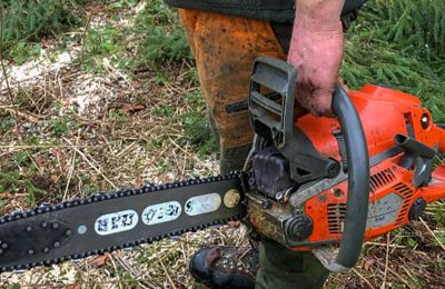 Man with chainsaw has fallout with officials