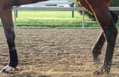 Spooked horse okay after incident