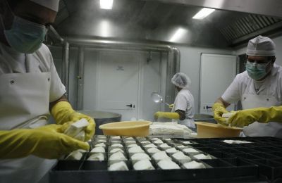 Halloumi cheese to get PDO stamp