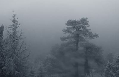 Squall hits Cyprus as snow flurries fall in Troodos