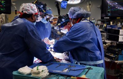 In 1st, US surgeons transplant pig heart into human patient