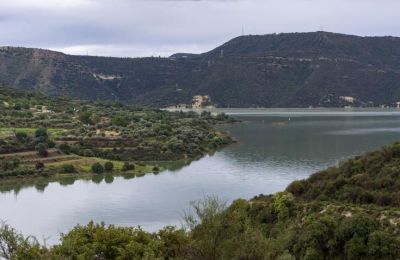 January water levels in dams 3rd best of decade