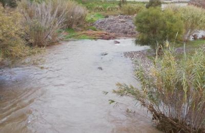 Cyprus rivers register one of the lowest levels of pharmaceutical contamination