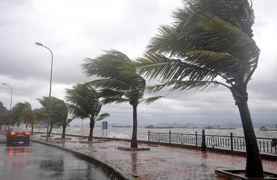 Windstorm blows a gale through Cyprus