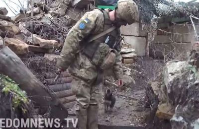 Ukrainian soldiers adopt freezing puppy (video)