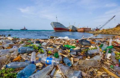 Plastic waste could be a thing of the past thanks to a new enzyme