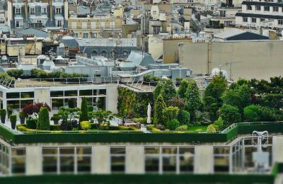 European cities are turning rooftops into community and sustainability hubs