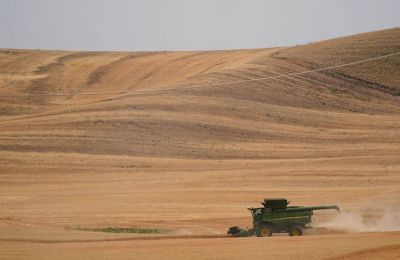 Turkey buying stolen Ukrainian grain from Russia