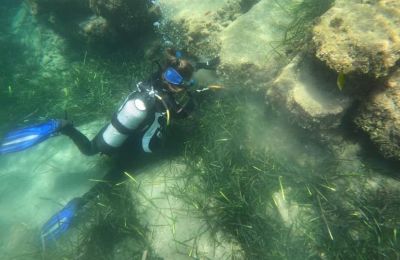 Amathus' underwater museum ready to welcome its first visitors