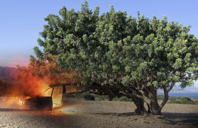 Carob wars suspected in car arson attack