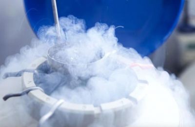 Study: Children born from frozen embryos more likely to develop cancer later in life