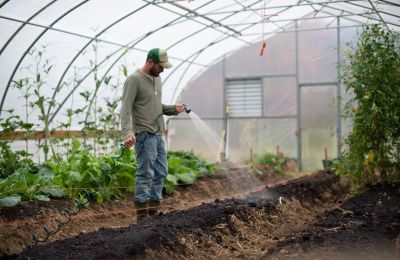 Europe's vegetable farmers warn of shortages as energy crisis bites