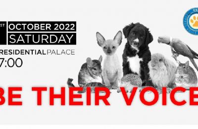 Cyprus Voice for Animals to hold protest at Presidential Palace on Oct 1st