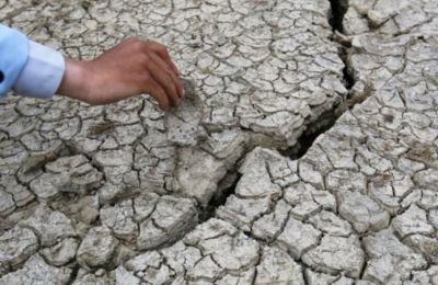 Program to combat desertification in Cyprus and Greece gets underway in Nicosia