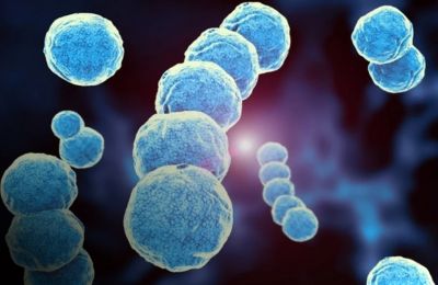 Cyprus on alert after first case of Strep A