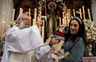 Priests bless confused pets in honor of traditional Spanish festival (video)