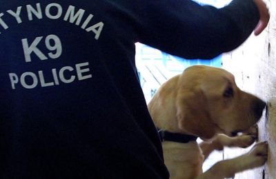 Neighbor arrested over dog’s death in Paphos