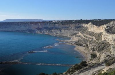 Concerned citizen in Limassol alerts authorities after hearing dog whining on inaccessible beach