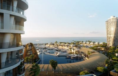 Marinas of the future with antiquated regulations