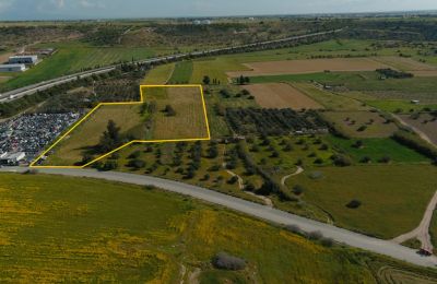 AstroBank: Agricultural land for sale across Cyprus