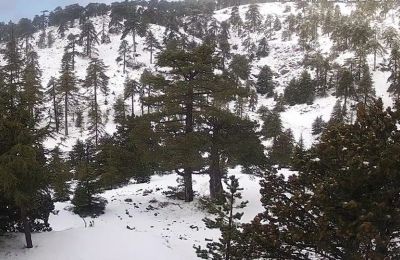 Snowfall blankets Troodos just days before Easter