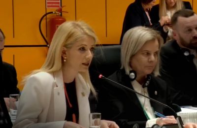 Cypriot speaker livid as Turkish colleague takes exception to her Turkish-Russian invasion analogy