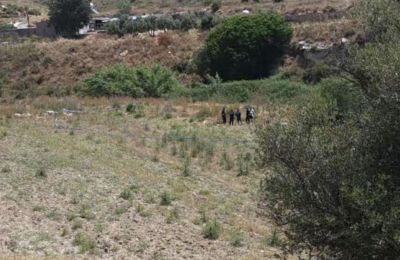 Police keep tight lid on human remains discovered in Paphos suburb, items possibly pertaining to identity also found