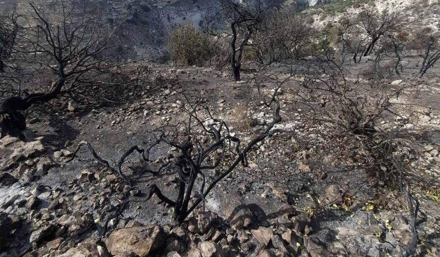 Devastating images of the Kathika fire: Destruction and aftermath