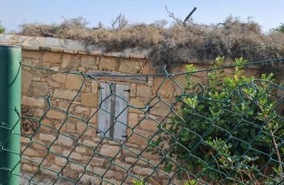 Illegal construction in Akamas linked to wealthy businessman with political ties