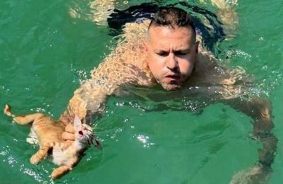 Man dives to save cat at sea