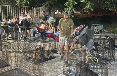 Volunteers look after dogs at the rescue station that has been set up at the former Lato quarry in Galatsi, in a photograph posted by Dog’s Voice on its Facebook page.