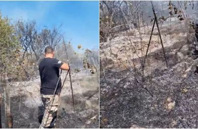 Fire tamed in Yiolou, but bittersweet news for dog shelter