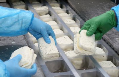 Lawsuit threatens €284.5M PDO halloumi industry