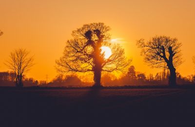 Heatwave with showers and thunderstorms