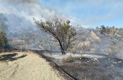 Limassol forest fire partially controlled