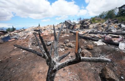 Over-70 victims of Maui fires identified