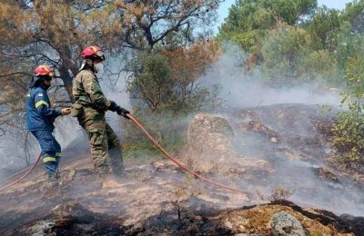 18 charred bodies of immigrants found in Evros fire