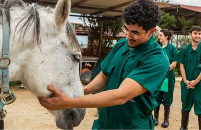 University of Nicosia presents innovative veterinary program in English