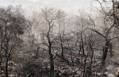 Record-breaking EU wildfire threatens Greek Alexandroupoli