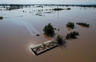 Reuters photo