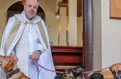 Stray dogs find a home in a priest's church