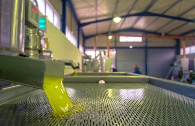 €370K worth of olive oil vanishes, police investigate