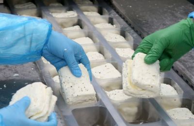 7,000 tons of halloumi on the brink