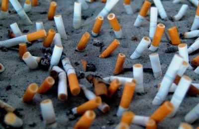 Producers and importers join forces to tackle tobacco product waste