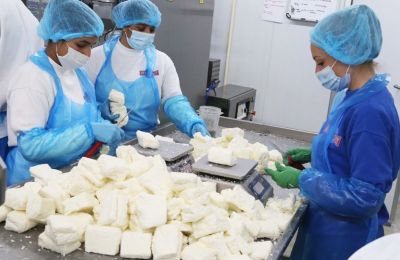 Halloumi exports drop by 10% amid ongoing dairy industry crisis